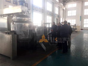 伊朗某制藥企業代表團到廠考察藥膏生產設備