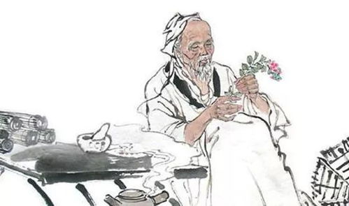 專欄 藥食同源 讓廚房變成養(yǎng)生 藥房 之茵陳